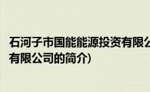 石河子市国能能源投资有限公司(关于石河子市国能能源投资有限公司的简介)