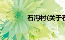 石沟村(关于石沟村的简介)