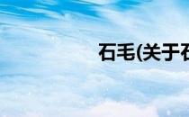 石毛(关于石毛的简介)