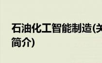 石油化工智能制造(关于石油化工智能制造的简介)
