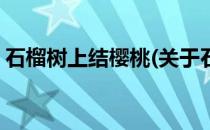 石榴树上结樱桃(关于石榴树上结樱桃的简介)