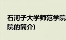 石河子大学师范学院(关于石河子大学师范学院的简介)