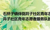 石桥子镇伴倒井子社区青年志愿者服务队(关于石桥子镇伴倒井子社区青年志愿者服务队的简介)