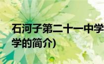 石河子第二十一中学(关于石河子第二十一中学的简介)