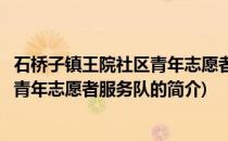 石桥子镇王院社区青年志愿者服务队(关于石桥子镇王院社区青年志愿者服务队的简介)