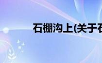 石棚沟上(关于石棚沟上的简介)