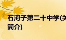 石河子第二十中学(关于石河子第二十中学的简介)