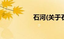 石河(关于石河的简介)