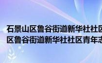 石景山区鲁谷街道新华社社区青年志愿者服务队(关于石景山区鲁谷街道新华社社区青年志愿者服务队的简介)