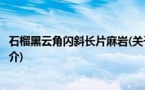 石榴黑云角闪斜长片麻岩(关于石榴黑云角闪斜长片麻岩的简介)