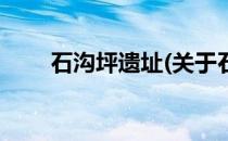 石沟坪遗址(关于石沟坪遗址的简介)