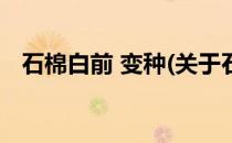石棉白前 变种(关于石棉白前 变种的简介)