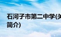 石河子市第二中学(关于石河子市第二中学的简介)