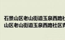 石景山区老山街道玉泉西路社区青年志愿者服务队(关于石景山区老山街道玉泉西路社区青年志愿者服务队的简介)