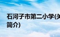 石河子市第二小学(关于石河子市第二小学的简介)