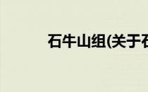 石牛山组(关于石牛山组的简介)