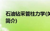 石油钻采管柱力学(关于石油钻采管柱力学的简介)