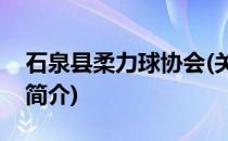 石泉县柔力球协会(关于石泉县柔力球协会的简介)