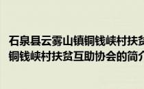 石泉县云雾山镇铜钱峡村扶贫互助协会(关于石泉县云雾山镇铜钱峡村扶贫互助协会的简介)