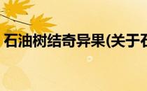石油树结奇异果(关于石油树结奇异果的简介)