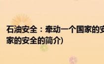 石油安全：牵动一个国家的安全(关于石油安全：牵动一个国家的安全的简介)