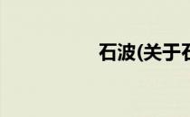 石波(关于石波的简介)