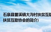 石泉县曾溪镇大沟村扶贫互助协会(关于石泉县曾溪镇大沟村扶贫互助协会的简介)