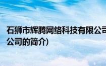 石狮市辉腾网络科技有限公司(关于石狮市辉腾网络科技有限公司的简介)