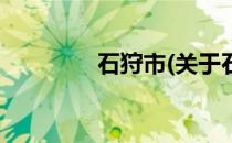 石狩市(关于石狩市的简介)