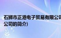 石狮市正港电子贸易有限公司(关于石狮市正港电子贸易有限公司的简介)