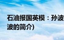 石油报国英模：孙波(关于石油报国英模：孙波的简介)