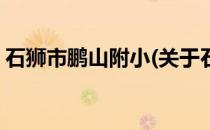 石狮市鹏山附小(关于石狮市鹏山附小的简介)