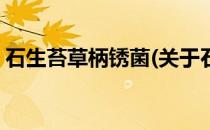 石生苔草柄锈菌(关于石生苔草柄锈菌的简介)