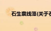石生囊线藻(关于石生囊线藻的简介)