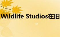 Wildlife Studios在旧金山开设了游戏工作室