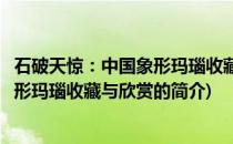 石破天惊：中国象形玛瑙收藏与欣赏(关于石破天惊：中国象形玛瑙收藏与欣赏的简介)