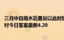 三月中自雨水后盖谷以此时播种说的是雨水还是谷雨 蚂蚁新村今日答案最新4.20