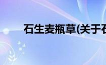 石生麦瓶草(关于石生麦瓶草的简介)