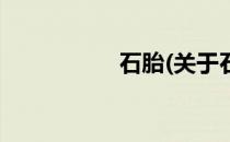 石胎(关于石胎的简介)