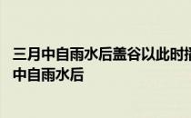 三月中自雨水后盖谷以此时播种说的是谷雨吗 蚂蚁新村三月中自雨水后