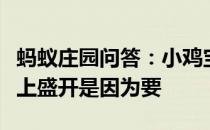 蚂蚁庄园问答：小鸡宝宝考考你昙花一般在晚上盛开是因为要