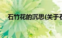 石竹花的沉思(关于石竹花的沉思的简介)