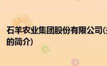 石羊农业集团股份有限公司(关于石羊农业集团股份有限公司的简介)
