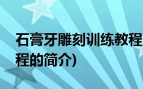 石膏牙雕刻训练教程(关于石膏牙雕刻训练教程的简介)