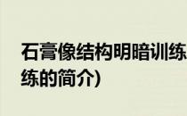 石膏像结构明暗训练(关于石膏像结构明暗训练的简介)