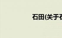 石田(关于石田的简介)