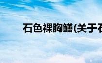 石色裸胸鳝(关于石色裸胸鳝的简介)