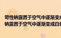 苛性钠露置于空气中逐渐变成白色粉末的化学方程式（苛性钠露置于空气中逐渐变成白色粉末）