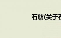 石舫(关于石舫的简介)