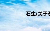 石生(关于石生的简介)